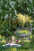 Macramé hanging chair under flowering climbing rose in summer garden
