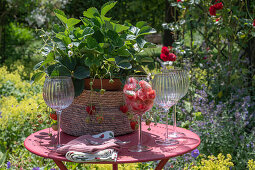 Ice cubes with strawberries and rosemary