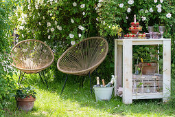 Wooden table and garden chairs in front of climbing rose in summer garden