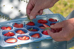 Ice cubes with strawberries and rosemary