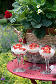 Sommerfest im Garten: Quarkdessert mit Erdbeeren und Erdbeerpflanze im Pflanzkorb auf Gartentisch