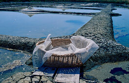 Salt extraction (Île de Noirmoutier, France)