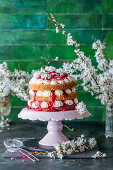 Spring raspberry cake