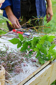 Flowers and branches, sorted, for flower arrangement, with heather