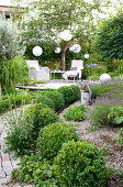 Garden path lined with boxwood balls leading to the wooden terrace