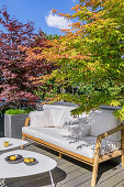 Bench with light-colored cushions and coffee table on sunny roof terrace