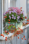 Herbstlich bepflanzter Blumenkasten mit Hornveilchen, Steinbrech und Hagebuttenzweigen