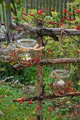 Lanterns decorated with rosehip branches as autumnal garden decoration