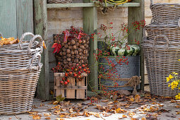 Weidenkörb, Walnüsse und Kürbisse auf herbstlicher Terrasse