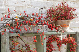 Autumnal decoration with rose hip branches on wooden shelf