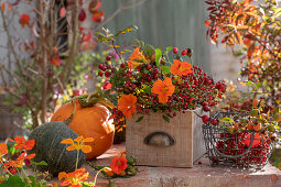Herbstliches Arrangement mit Kürbissen, Hagebuttenzweigen und Kapuzinerkresseblüten