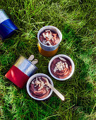 Chocolate mousse in cups on the grass