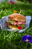 Pastrami-Sandwich auf Serviette im Gras