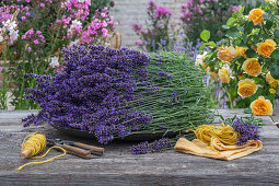Freshly cut lavender on wooden table
