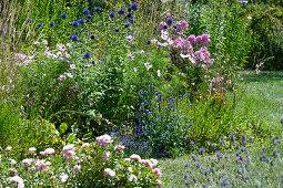 Summer perennial garden