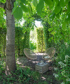 Idyllischer Sitzplatz unter Bäumen im Garten