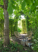 Idyllischer Sitzplatz unter Bäumen im Garten