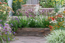 Wooden box planted with mountain leek, elf mirror and cuckoo's campion on the terrace