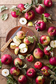 Freshly harvested farm apples with leaves