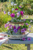 Flower etagere with ornamental baskets, gladioli and showy bindweed