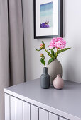 Vases with peonies on a dresser in front of a pastel-colored wall