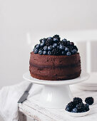 Chocolate cake with chocolate cream, blueberries and blackberries