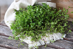 Chickweed