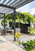 Terrace with pergola, seating area and green plants