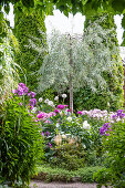 Blühender bunter Garten in sommerlicher Pracht