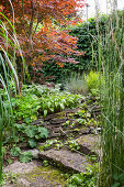 Garden path with stone slab steps