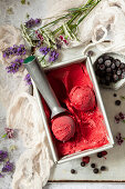 Sorbet aus schwarzen Johannisbeeren