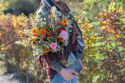 Frau trägt herbstlichen Blumenstrauss unter dem Arm mit Zinnien (Zinnia), Ringelblumen (Calendula), Fuchsschwanz (Amaranthus caudatus), Rosen, Herbstastern