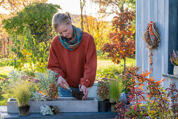 Plant the box with succulents in the fall