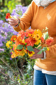 Woman holding bouquet of dahlias (Dahlia), marigolds (Calendula) and nasturtium (Tropaeolum)