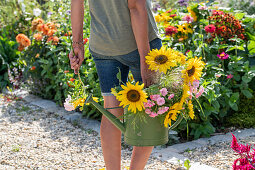 Frau mit Blumenstrauss in Gießkanne vor Blumenbeeten mit Sonnenblumen (Helianthus Annuus), Rutenhirse (Panicum virgatum), Rosen (Rosa) 'Fairy'