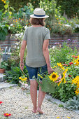 Gardening, woman with bouquet in watering can in front of flowerbeds with sunflowers (Helianthus Annuus), switchgrass (Panicum virgatum)