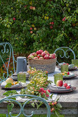 Tischdeko mit Äpfeln (Malus Domestica), Zieräpfel 'Golden Hornet', 'Red Sentinel' und 'Evereste', Obsternte, gedeckter Tisch