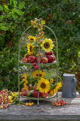 Etagere mit Sonnenblumen (Helianthus) und Äpfeln auf Terrasse