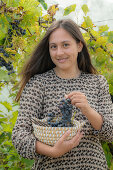 Young woman harvesting table grapes (Vitis Vinifera)