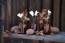 White cyclamen and baby's breath flowers in small brown glass bottles, decorated with dried copper beech leaves