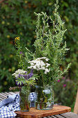 Wild herbs for the first-aid kit