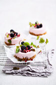 Frozen yoghurt cheesecakes