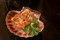 Fried oysters and scallops in shells