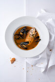 Bouillabaise mit Dorade und Miesmuscheln