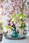 Christrosen (Helleborus), Blüten in Glasvasen