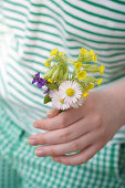 Hand hält Sträußchen aus Duft-Veilchen, Schlüsselblumen und Gänseblümchen