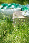 Meadow with shepherd's purse (Capsella) and picnic basket