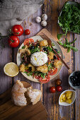 Bread salad with mozzarella