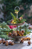 Weihnachtliche Etagere mit Nüssen, Tannenzweigen, Zapfen und Kerzen