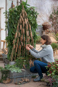 Winterize the rose in the pot and use it as a privacy screen.